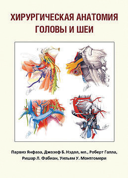 Хирургическая анатомия головы и шеи