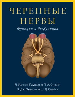 Черепные нервы